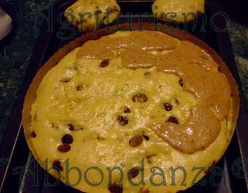 abbondanza®